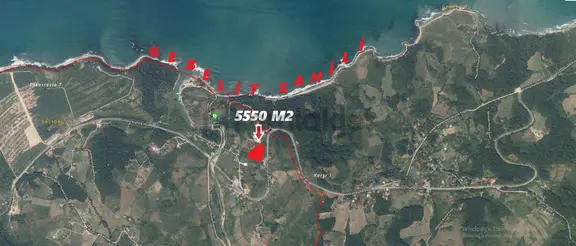 Ayancık Tarakçı Köyü Satılık 5550 M² Tarla 2