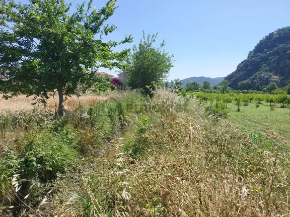 Muğla Marmarlıda 5800 M2 İmar Planı İçinde Yatırıma Uygun Satılık Arsa 2