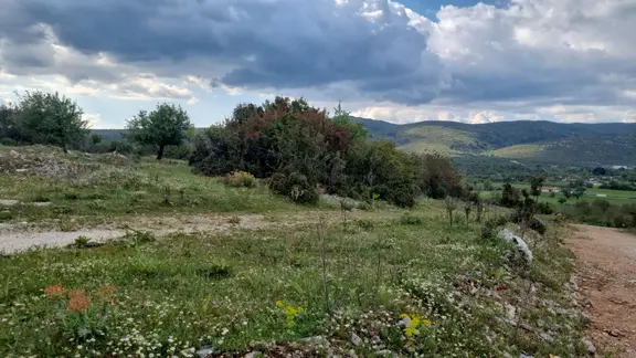 Akkaya Mah Satılık Yol Cepheli Tarla 1