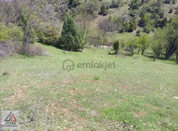 Bilecik Gölpazarı Goldaginda 1700 Bahçe 2