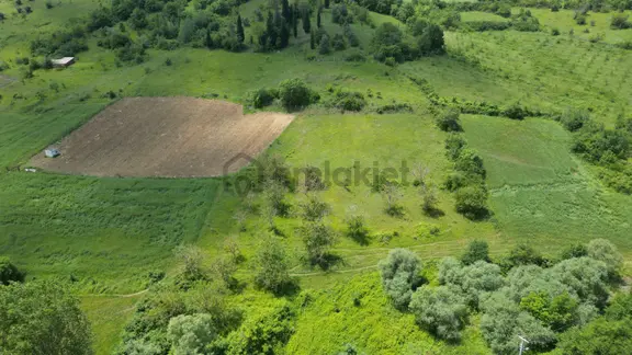 Kocaeli Karamürsel Yalakdere Mahallesi Satılık Tarla 6678 M2 2