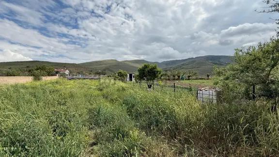 Öz Gaye Emlaktan Develi Ayvazhacı Mahallesinde Satılık Tarla 2