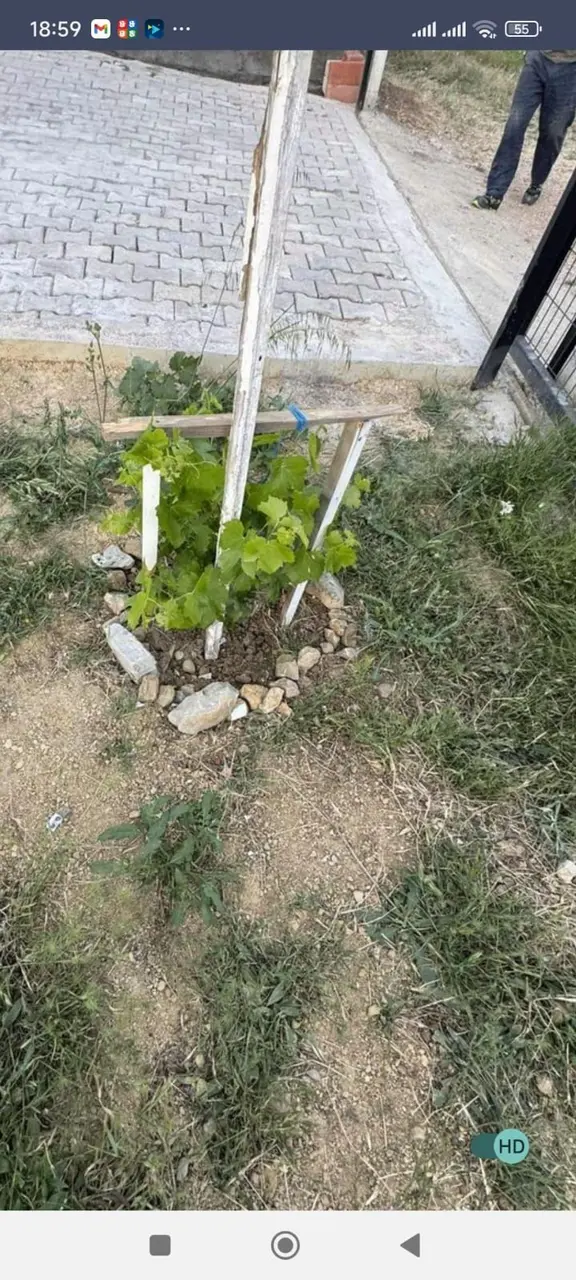 Torbalı Çapak 585 Mk Miras Hisse İçinde Ev Var. 2