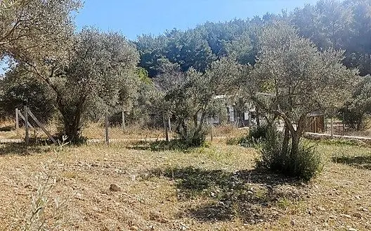 Sahibinden Sahibinden Buca Belenbaşı'nda Asfalt Yol Üzerinde Satılık Arsa 1