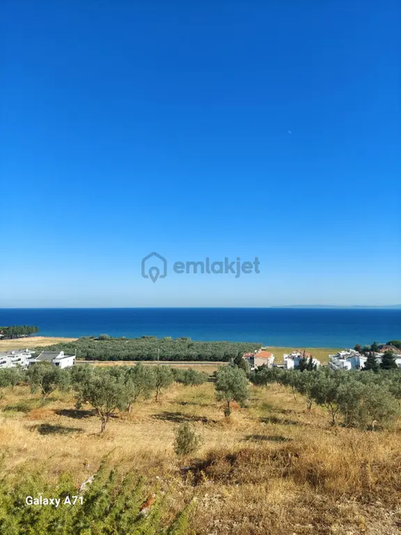 Tekirdağ Şarköy Eriklicede 2