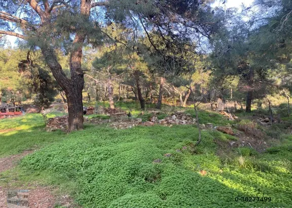 Balıkesir Ayvalık Camlık Ta Satılık 1540 Metre Kare Arsa 2