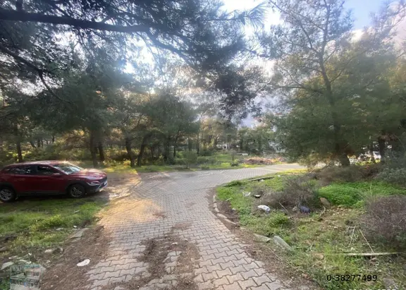 Balıkesir Ayvalık Camlık Ta Satılık 1540 Metre Kare Arsa 1