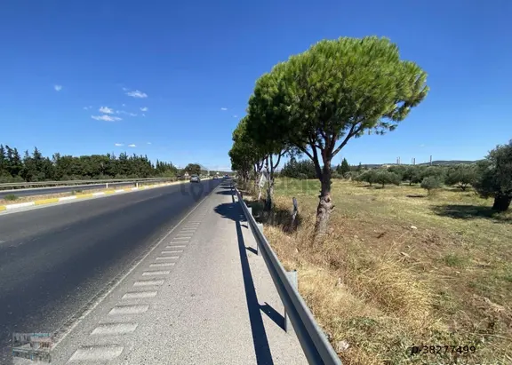Balıkesir Ayvalık Ta Satılık 10 Donum Tarla 2