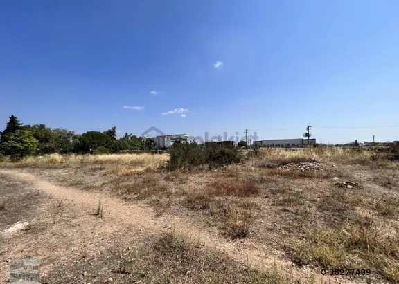 Ayvalık Ta Satılık 1538 Metre Kare Konut-turizm İmarlı Arsa 2