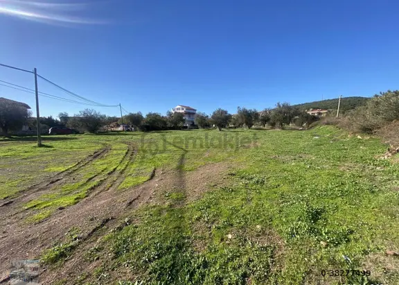 Ayvalık Cunda Da Satılık 3479 Metre Kare Arsa 2