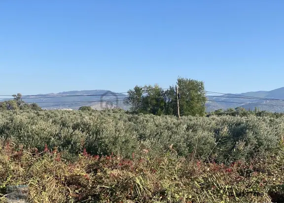 Balıkesir Edremit Te Satılık 19,500 Metre Kare Arsa.yola Cephe 2