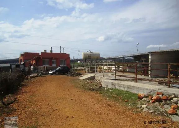 Balıkesir Ayvalık Ta Satılık Ciftlik. 2