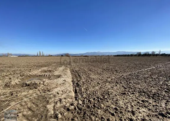 Balıkesir Burhaniye De Satılık 74.000 Metre Kare Tarla 1