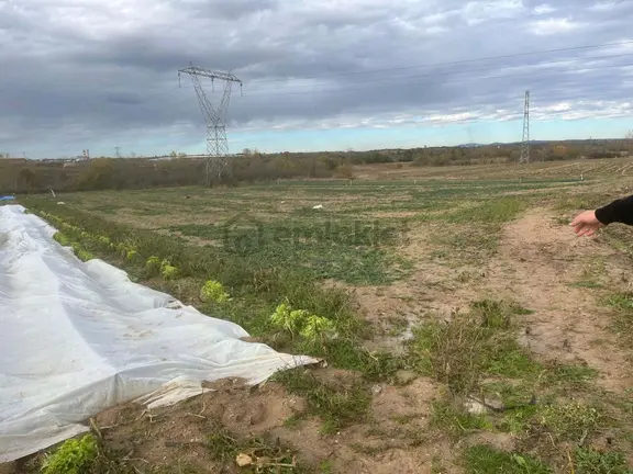 Kirklareli Merkez Asılbeyli 8 Dönüm Tarla Satılık 1