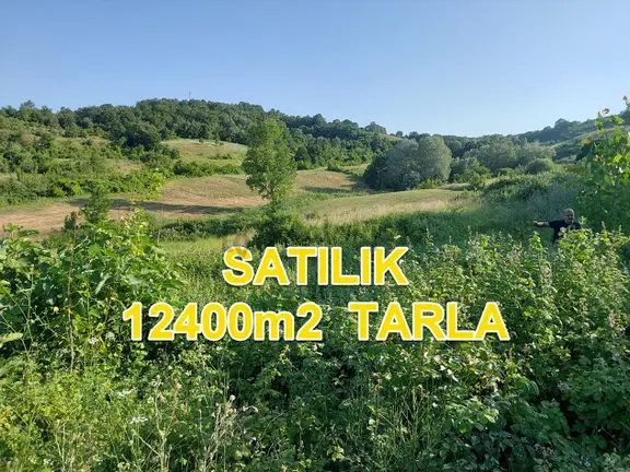 Bursa M.kemalpaşa Yalıntaşta Satılık İmarsınırına Yakın 12400m2 Tarla 1
