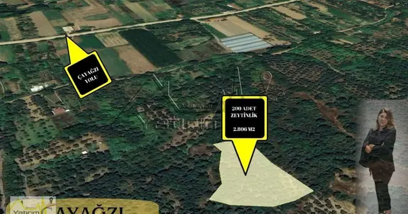 Erdek Çayağzı Mahallesinde 2.806 M2 Ve 2566 Satılık Arazimiz 2