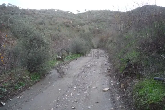 İzmir Torbalı Gold Emlaktan Satılık Meyve Bahçesi 2