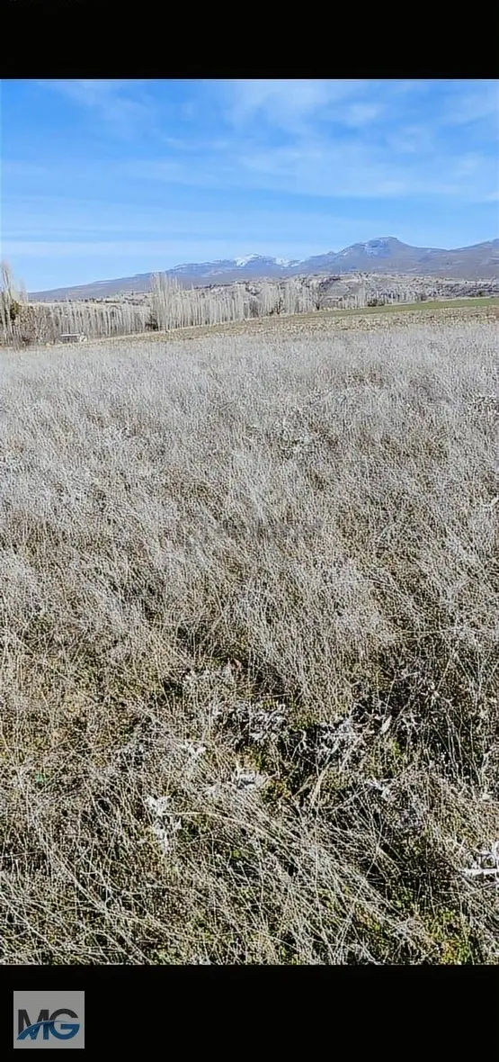 Seydışehır Tol Da Takaslı Harika Konumda Tek Tapu 1700 M2 Tarla 2