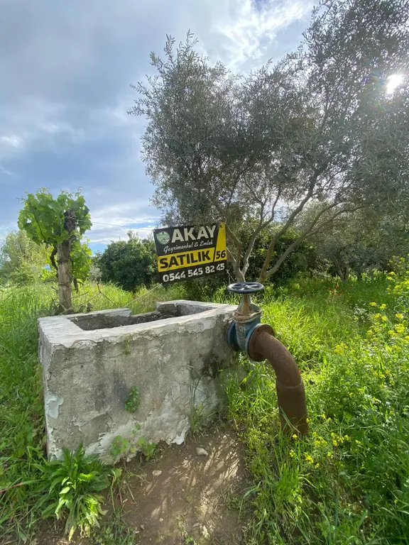 Sultanhisar Da Satılık Meyve Bahçesi 2