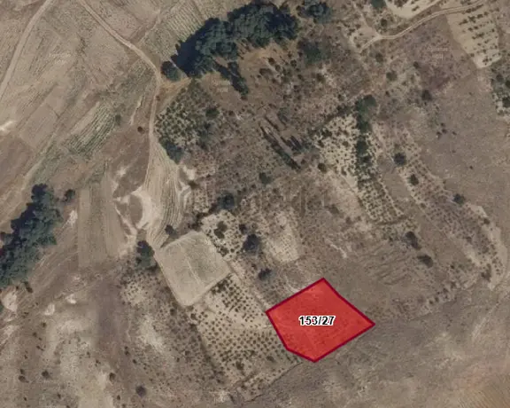 Güzelyurt Ta Satılık Tarla Ve Bag 1