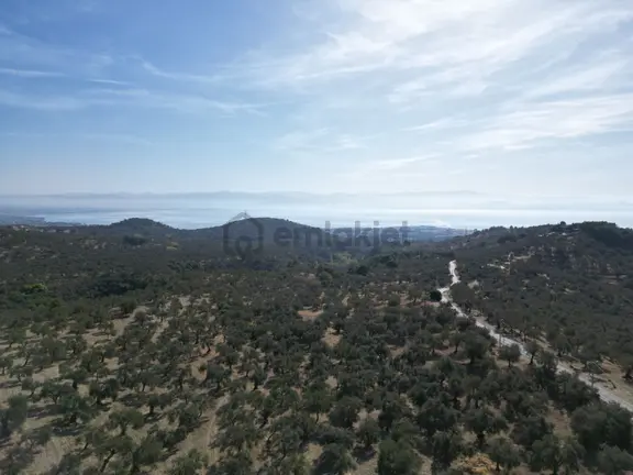 Sabri Pınarbaşı'dan Güre Bölgesi Tahtakuşlar'da İmarın Yanında 20dönüm Zeytinlik 2