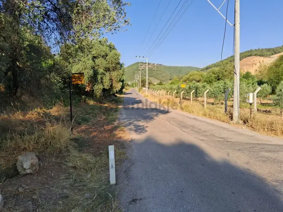 Acill Torbalı Karakızlarda 308m2 Elektrık Suyu Mevcut Tarla Otobüs Durağı Dibinde 2
