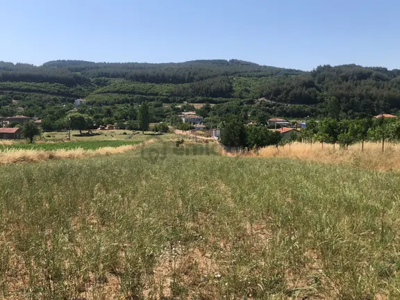 Şarköy De Işık Emlaktan Gölcuk Mah De İki Tapu 4750 M2 0/75 İmarlı Arsa 1