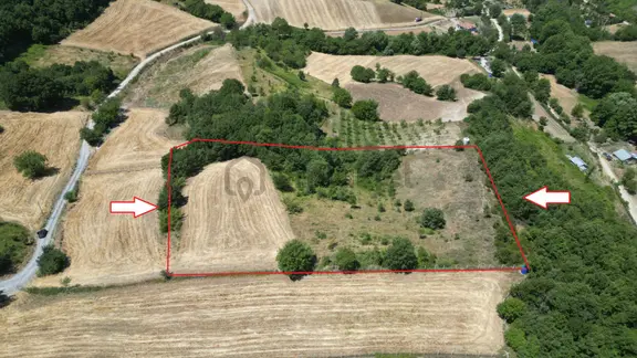 Kocaeli Karamürsel Avcıköy Satılık Tarla 8791 M2 1