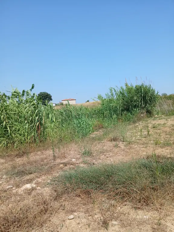Manavgat/ Sorkunda Side Tarafında Sueno Otel Karşısı 3 Kat 0.40 Emsal Köşe Parse 1