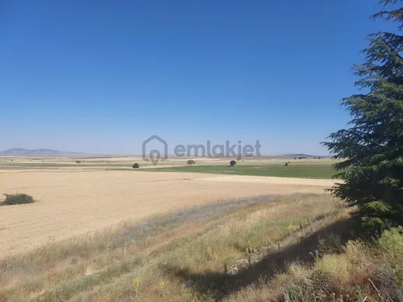 Seyitgazi Sarayörende Yola Sıfır Satılık Tarla 1