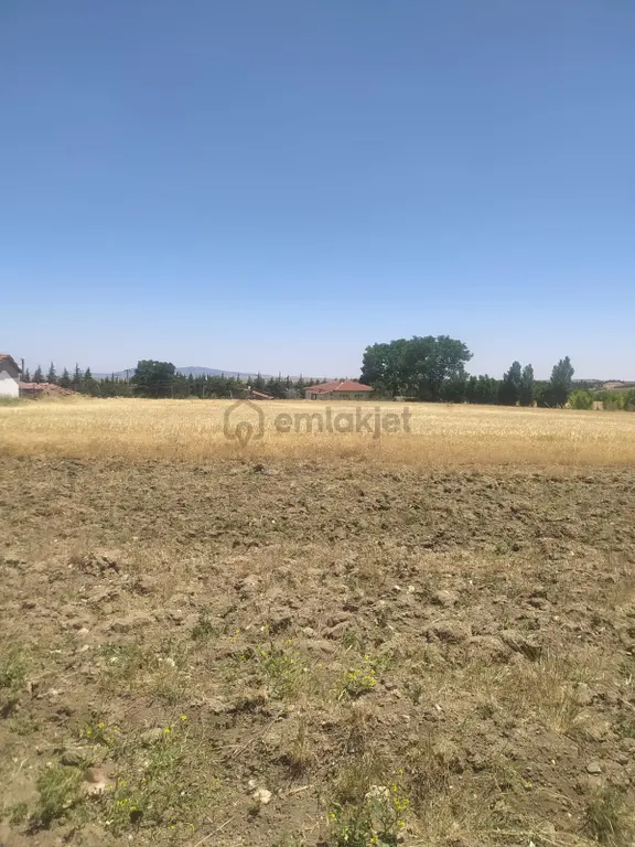 M-88 Taşlıkköy Mahallesi Satılık Çiftlik 1