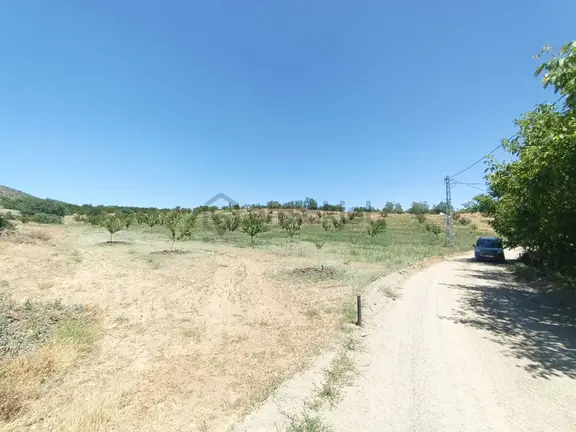 Turanlar Gayrimenkul'den Elazığ Baskil Koçyolu Köyünde Satılık Yetişmiş Bahçe 1