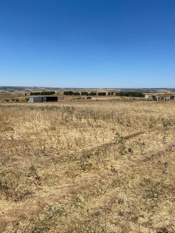 İstanbul Değirmenköy Satılık Arsa 255m2 2