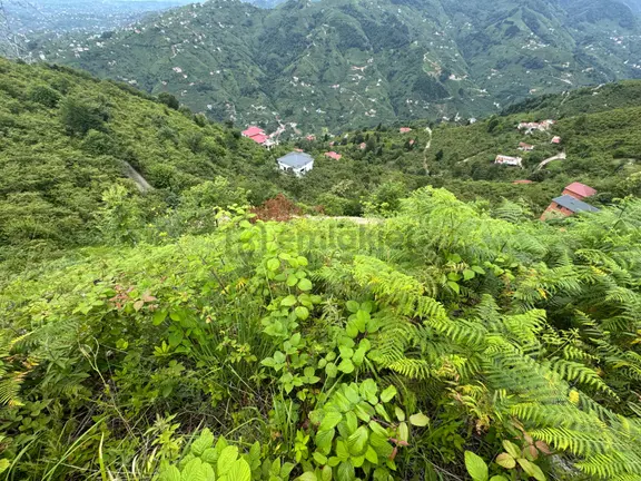 Trabzon Yomra Gürsel Mahallesi 2.344 M2 Satılık Arsa 1