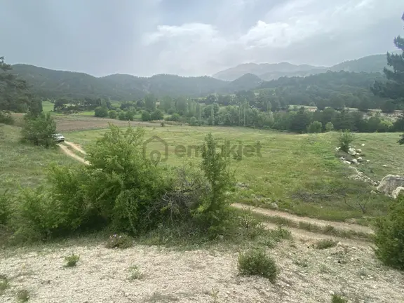Denizli Honaz Aydınlar 19000 M2 Arazimiz Satılıktır 2