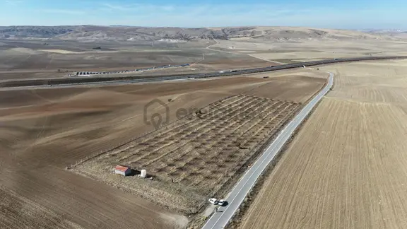 Ahmetçayırında Asfalta Cephe Tek Tapu Ceviz Bahçesi Karadeniz Em 1