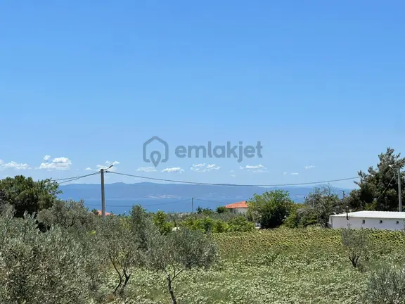 Kızılcaterzi Mah. İmarlı Arsa 1