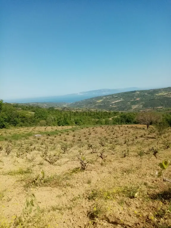 Mursallı Mah. Eşsiz Doğa Ve Deniz Manzaralı Üzüm Bahçesi 1