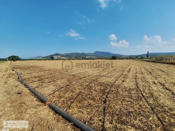 Yatırımdan Torbalı Yeniköy'de Tek Tapu 7100 M2 Satılık Tarla 2