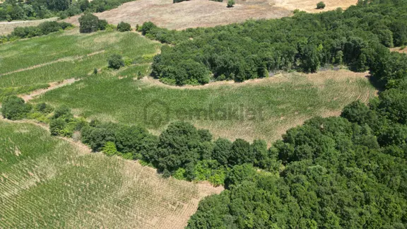 Kocaeli Karamürsel İnebeyli Mahallesi Satılık Tarla 14858 M2 2