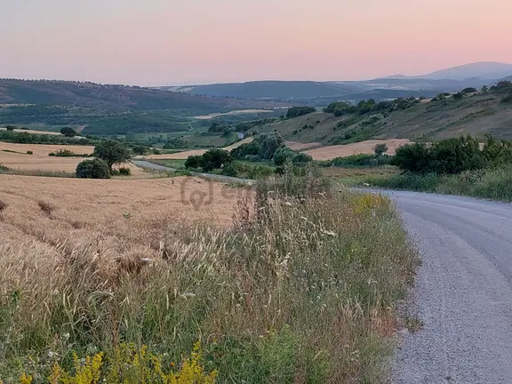 Bursa Karacabey Çamlıcada Anayola Yakın Satılık Yatırımlık 2000m2 Tarla 1