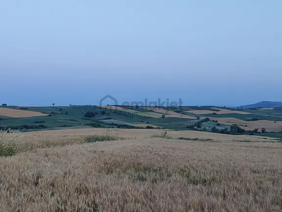 Bursa Karacabey Çamlıcada Anayola Yakın Satılık Yatırımlık 7300m2 Tarla 1