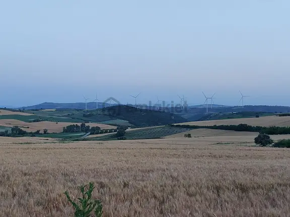 Bursa Karacabey Çamlıcada Anayola Yakın Satılık Yatırımlık 7300m2 Tarla 2