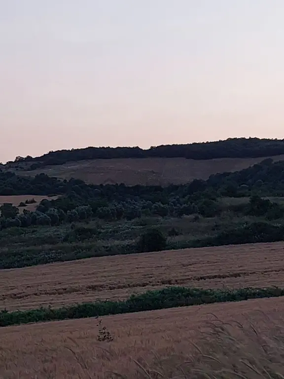 Bursa Karacabey Çamlıcada Anayola Yakın Satılık Yatırımlık 7300m2 Tarla 2