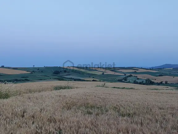 Bursa Karacabey Çamlıcada Anayola Yakın Satılık Yatırımlık 14600m2 Tarla 1