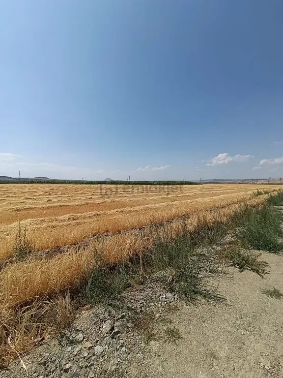 Turgutlarda Satılık Tarla 2