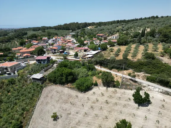 Caferli Köy İçi İmarlı Çiy Restoran Arkası 1300m2 Satılık Arsa 1