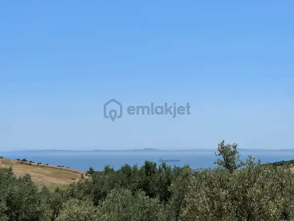 Tepeköy Mahallesinde Mükemmel Deniz Manzaralı Zeytinlik 1