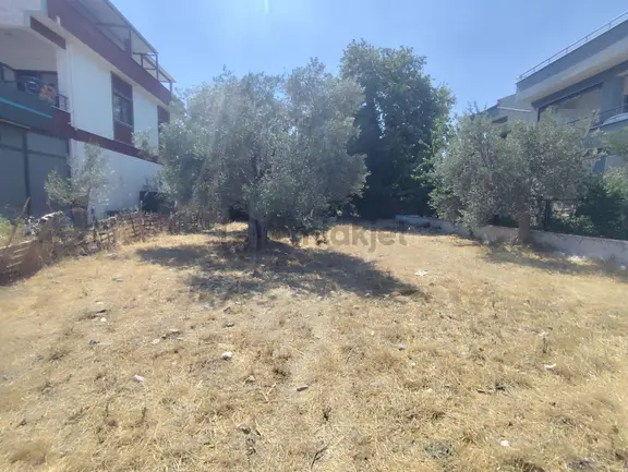 Altınoluk Fenerde Denize Ce Anayola Yakın Satılık Arsa... 2