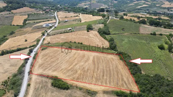 Yalova Altınova Fevziye 14.672 M2 Satılık Tarla 1